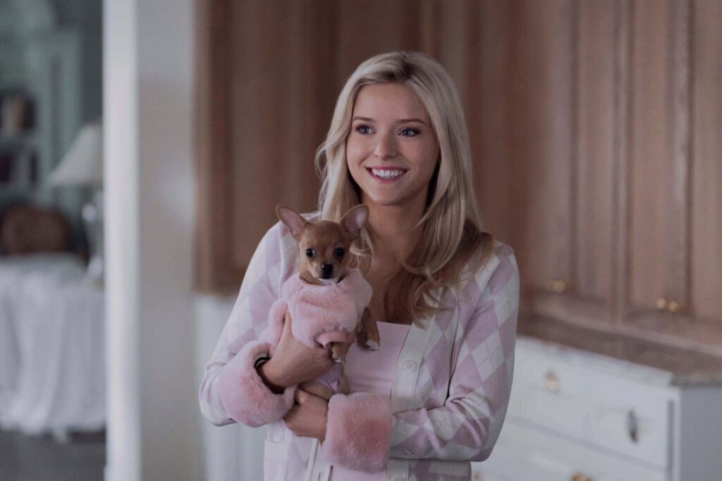 Legally Blonde | Madison Ave Magazine